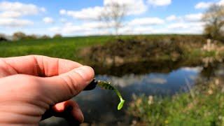 This Micro Perch Lure Catches BIG Perch