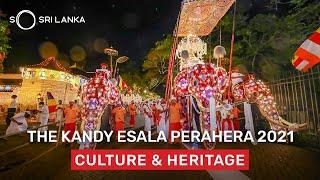 Esala Perahera | So Sri Lanka