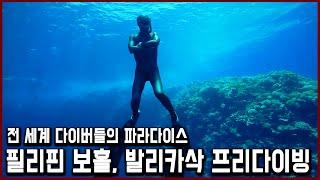 한 번의 호흡으로 바다 70m 아래로 간다! 프리 다이빙 한국 최고 기록 보유자와 필리핀 보홀, 발리카삭 바다 속으로 (KBS_2013.08.06 방송)