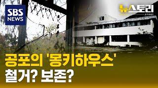 그녀들은 왜 철창 안에 갇혔나? ..몽키하우스의 비극 (뉴스토리) / SBS