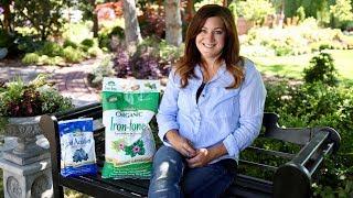 How Iron Tone Can Help Plants Grow!