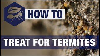 How To Get Rid Of Termites