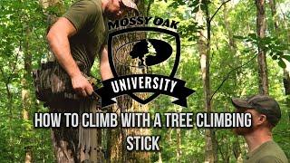 How to Climb with a Tree Climbing Stick