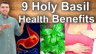 Holy Basil Health Benefits – What is Holy Basil Good For, Its Benefits and Properties