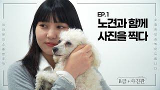 [B급 사진관] EP. 1 노견과 함께 사진을 찍다.