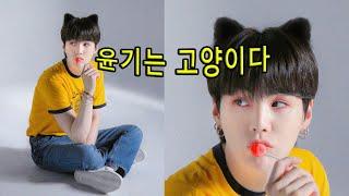 [방탄소년단 슈가] 윤기는 뭐다? 고양이다/윤기 귀여운 순간 모음 / BTS Suga Cute Moments