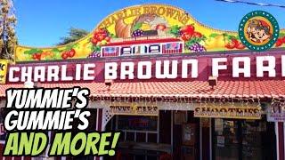 Charlie Brown Farms / A Hidden Tourist Gem in The High Desert