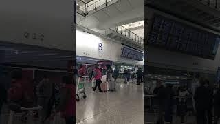 지금 홍콩 공항 입국장 모습