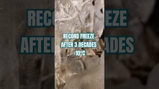 RECORD FREEZE~24122024 #explore #mountains #himalayas #nature #freezerfrost #winteriscoming #travel