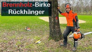 Brennholz Birke - STIHL MS 441 - Kette wechseln und leichten Rückhänger fällen #firewood #chainsaw