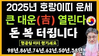 2024년 호랑이띠 운세 - 을사년 범띠운세! 천복운, 금전.재물운과 사업운 합격운 자녀운이 좋은 범띠 운세!