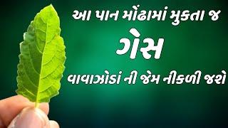 આ પાન મોંઢામાં મૂકતા જ - ગેસ વાવાઝોડાંની જેમ નીકળી જશે || stomach gas problem