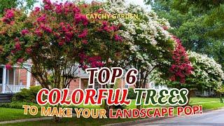  TOP 6 COLORFUL TREES TO MAKE YOUR LANDSCAPE POP!  // Gardening Ideas