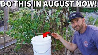 4 Critical August Garden Tasks Every Gardener Should Do NOW!