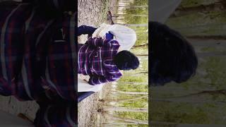 RJ AK 47 #youtubeshorts #attitudeboystatus #action #viralshort #brokenheart #donttouchmybrother