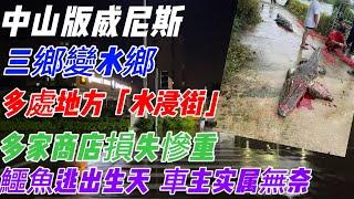 中山版威尼斯|多處地方水浸街|三鄉變水鄉|多家商店損失|車主無耐|鱷魚逃出|一個敢講真話的地產人