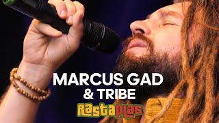 MARCUS GAD & TRIBE LIVE AT RASTAPLAS FESTIVAL ZOETERMEER. THE NETHERLANDS 2023.