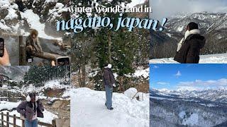 winter wonderland in nagano, japan! snow monkeys, ski resort & new years countdown! || helsa sokpoh