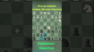 Sicilian Defense Lasker Pelikan Variation, Sveshnikov Variation   Tactical Struggles in the Classica