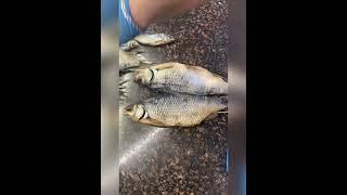 #рыбныйбукет "Подарки с Теплом" - это съедобные букеты на любой вкус! Подписывайтесь)