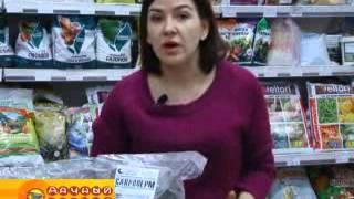 Сапропель и  продукция на его основе