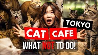 5 Things NOT to do at Tokyo CAT CAFE's