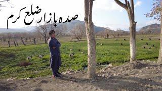 Alizai District Kurram to Sadda Bazar Road Trip