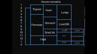 Viscero-somatics  For COMLEX Level I