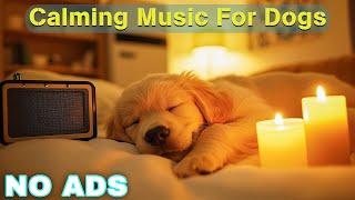 12 HOURS of Dog Calming Music For DogsAnti Separation Anxiety Relief MusicSleep dog Healing