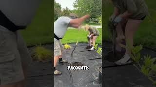 Клумба своими руками