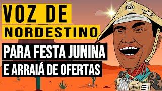 Voz Nordestina para Festa Junina e Arraiá de Ofertas - StudioVinhetas.com.br