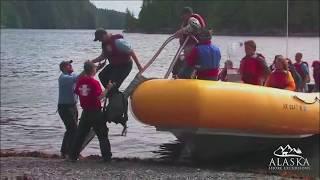 Rainforest Island Adventure - Ketchikan, Alaska