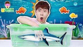 [블라인드 수족관 챌린지] 눈으로 보지 않고 맞춰라!!! What's in the aquarium challenge