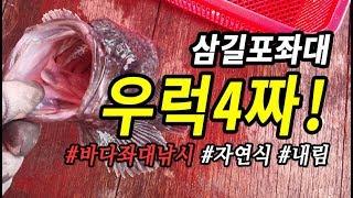 바다좌대자연식 삼길포좌대낚시 우럭4짜 영상