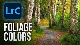 Improve FOLIAGE COLORS doing THIS! (Lightroom Classic Tutorial)