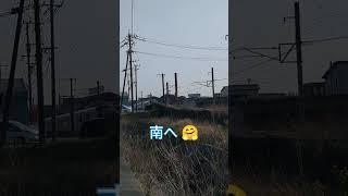 [JR Kyushu] Train watching after a full stomach