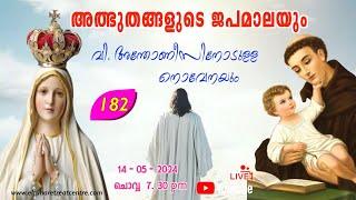 അത്ഭുതങ്ങളുടെ ജപമാല 07.30 pm ️ ചൊവ്വ  14-05-24