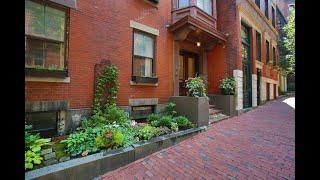 Beacon Hill   Hancock St Sunny Upper Level 1 Bed   Pet Friendly!