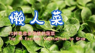 Top 10 Easiest Vegetables to Grow