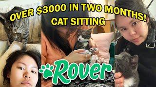 All You Need to Know about Rover.com as a Sitter | Review, Pros & Cons, & Tips (CAT SITTER)