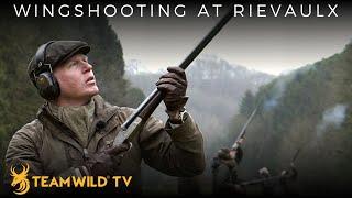 Shooting High Pheasant and Partridge at Rievaulx Sporting