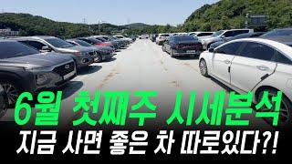 6월 첫주 중고차시세 거래가 많고 적은차 총정리드려요