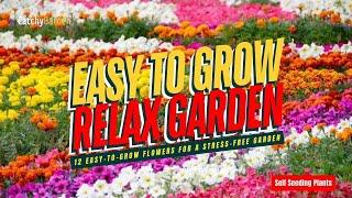 TOP 12 EASY-TO-GROW FLOWERS FOR A STRESS-FREE GARDEN  // SELF SEEDING FLOWERS