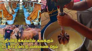 திண்டுக்கல்லில் கலக்கும் A2 நாட்டுமாட்டு பண்ணை நெய் | MAKING OF PURE GHEE | Gir and Sahiwal cow farm