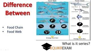 What is difference between food chain and food web || Quikr Exam