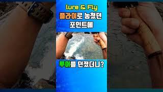 플라이 낚시로 놓쳤던 포인트에 미노우(루어)를 던졌더니?#lure앤fly  #송어미노잉 #송어루어 #송어낚시