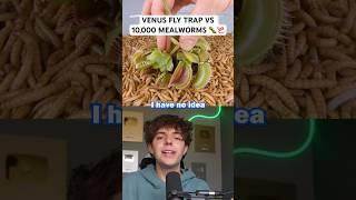 10,000 Mealworms VS Plant? 🫣🪱