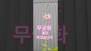 대한민국 만만세 
