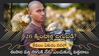 పోయిన సంవత్సరం పత్తి దిగుబడిలో నేనే టాపు || నేను ఎంచుకున్న విత్తనాలు? TFS Sagubadi #suryabhaskar