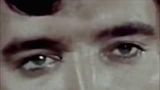 The Memphis Lullaby – Tribute To Elvis Presley